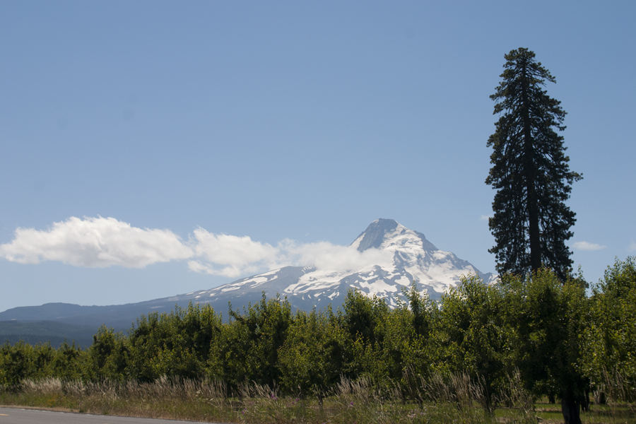 Mount Hood