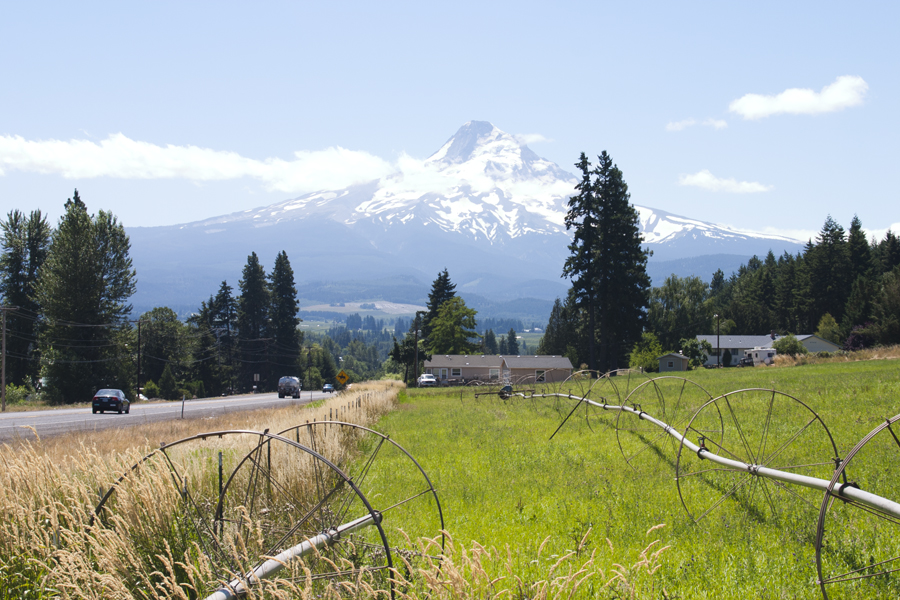view of Mount Hood from a farm