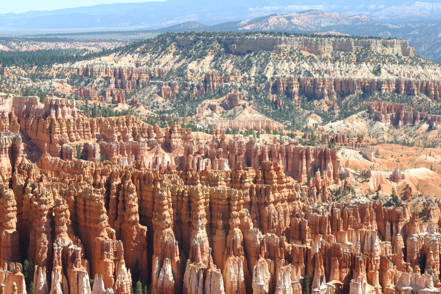 hoodoos and canyon