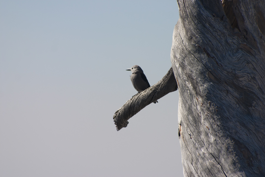 Crater Lake National Park - The ParksBase