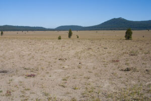 vast pumice desert