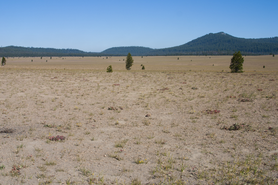 vast pumice desert