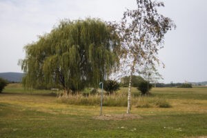 field with bird feeders