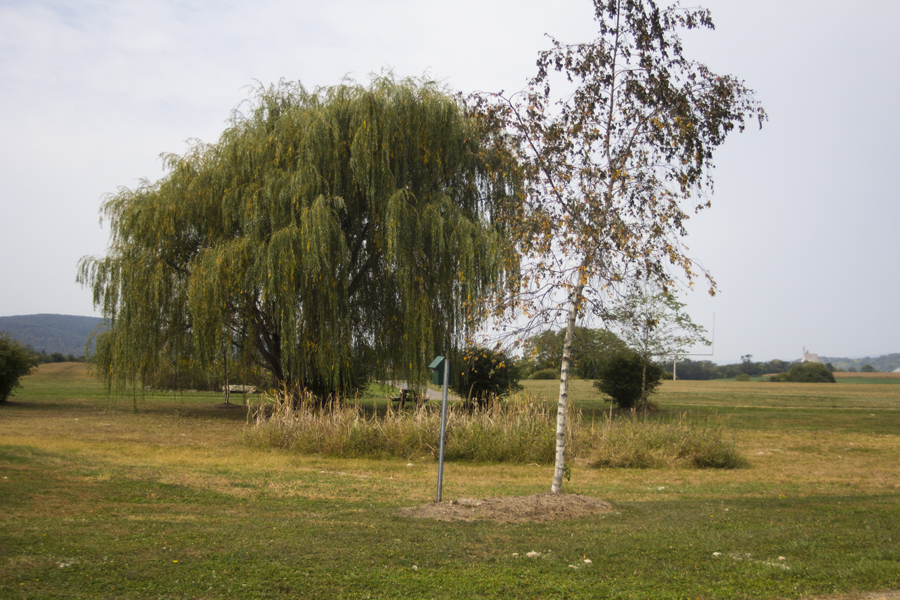 field with bird feeders