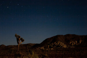 stars over Joshua Tree