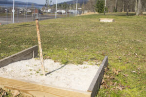 horseshoe throwing game