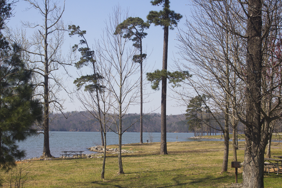 picnic tables by the lake