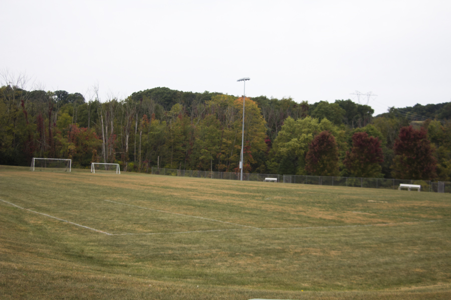 soccer field