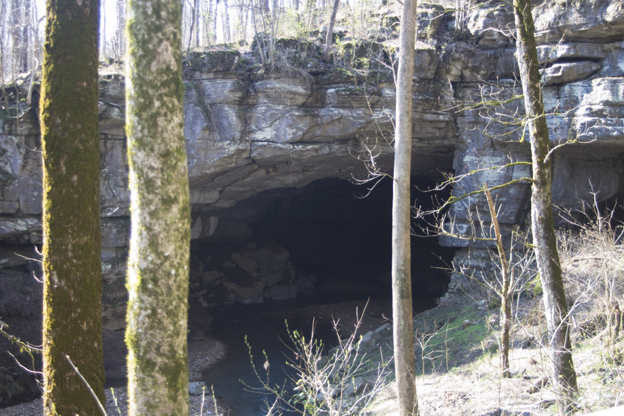 cave through trees