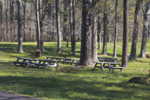 picnic area