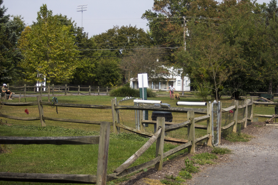 dog park enclosure