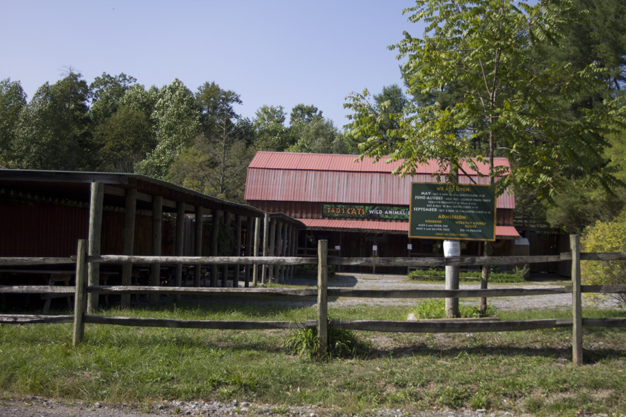 T & D Cats building