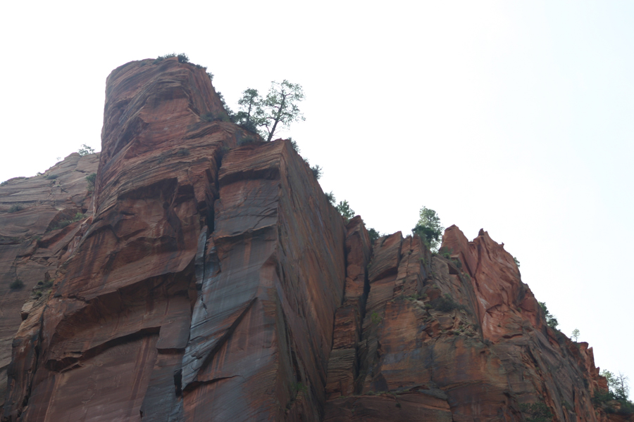 looking up at the canyon wall