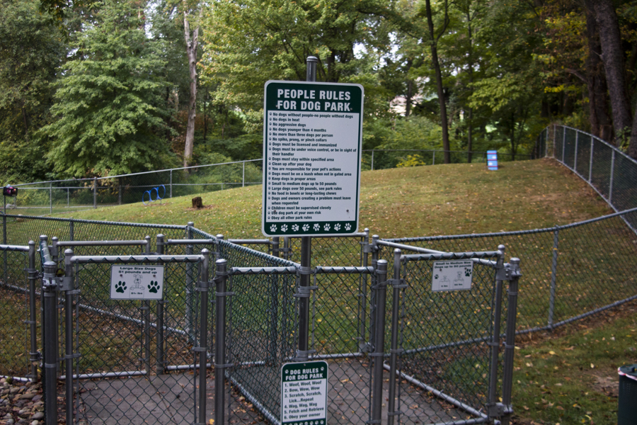 dog park obstacles