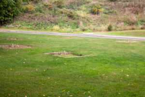 three sets of horseshoe pits