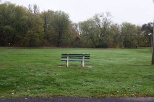 a bench beside a grassy field