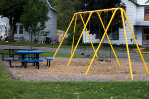 swing set and picnic tables