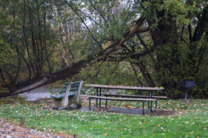 a bench, picnic table, and grill beside the creek