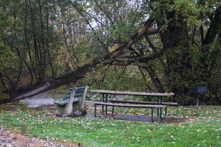 a bench, picnic table, and grill beside the creek