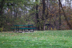 picnic table and grill