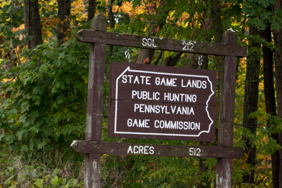 Pennsylvania State Game Land 212, Snyder County, PA