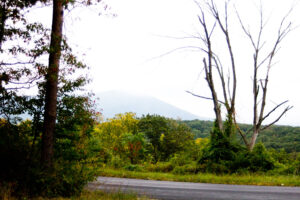foggy view of a nearby mountain