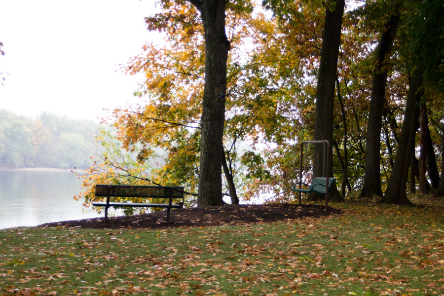bench and bench swing beside river