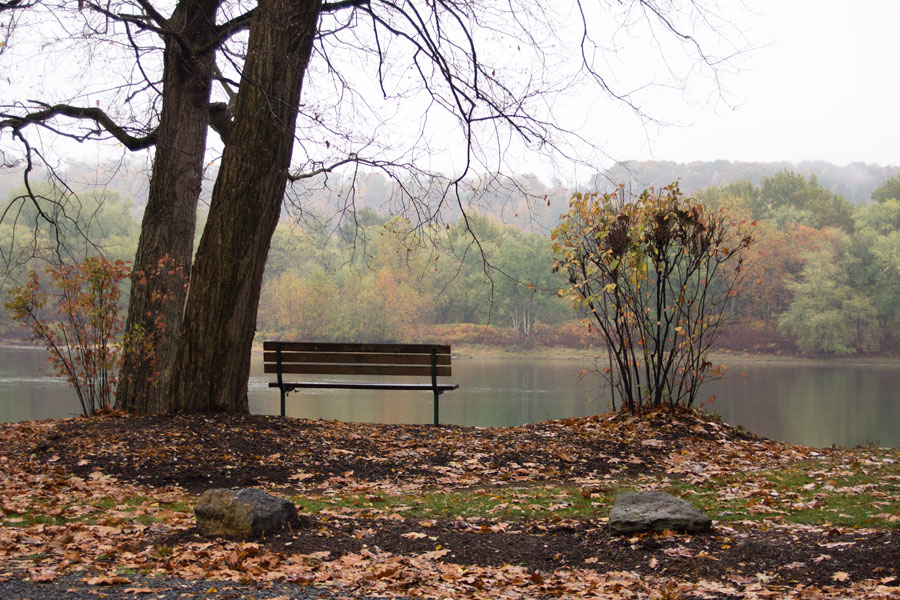 bench with a foggy view of the river