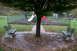 a tree with two benches facing it
