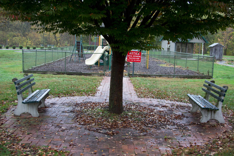 a tree with two benches facing it