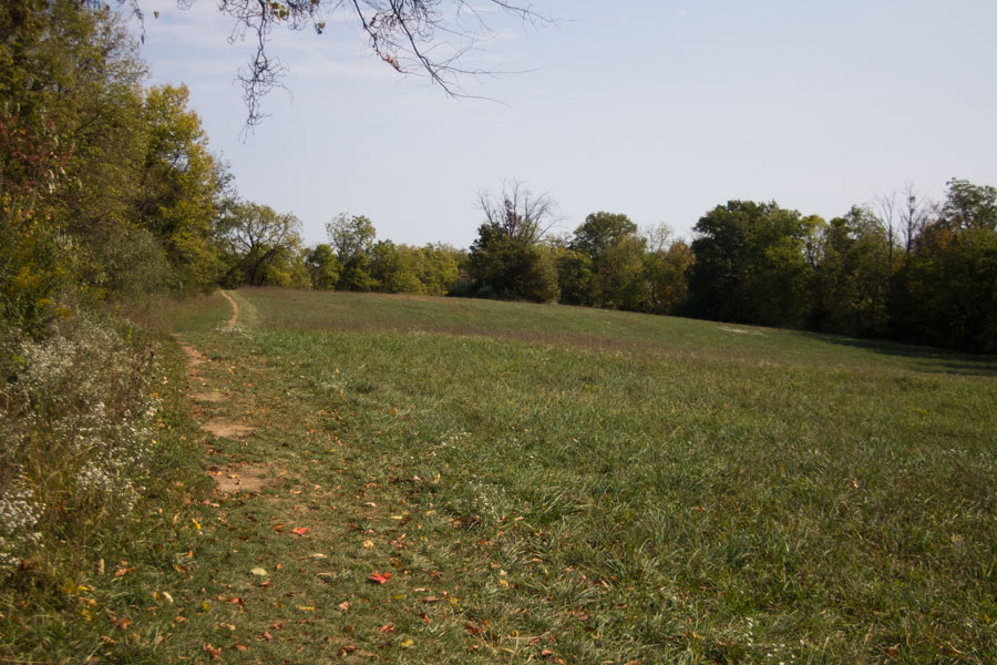 path along a field