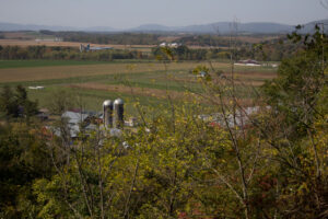 farmland view
