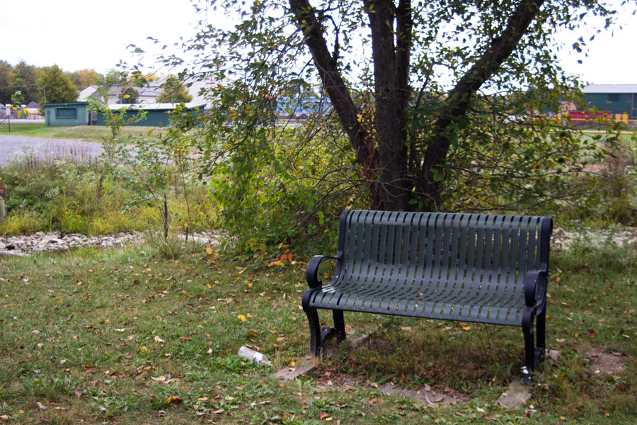 bench with tree behind it
