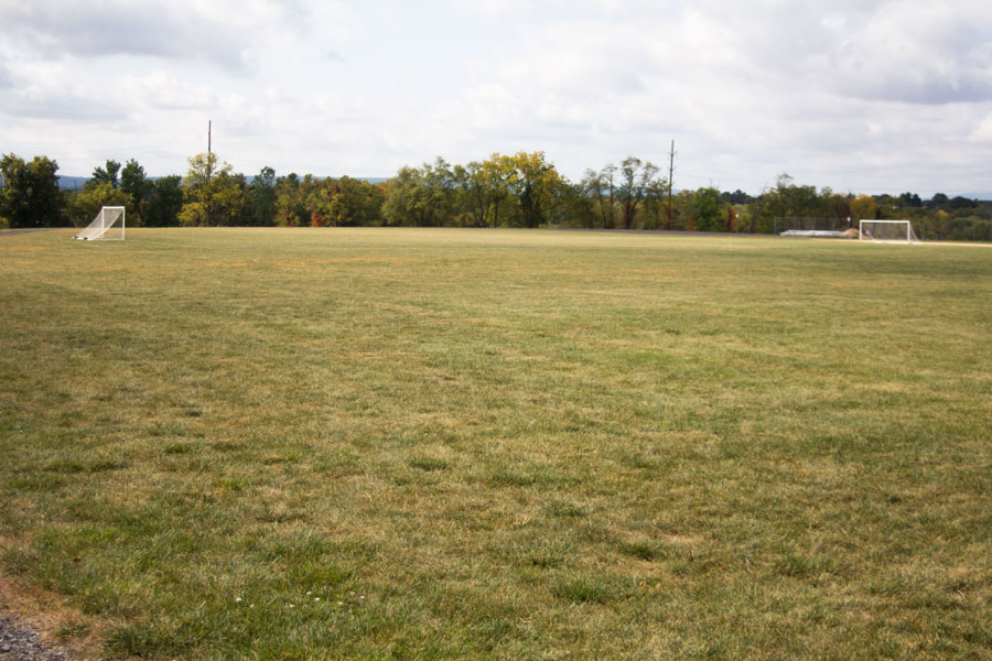 soccer field