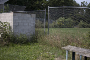 overgrown ball field
