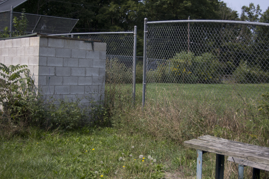 overgrown ball field