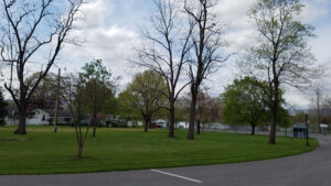 green space, basketball, and volleyball