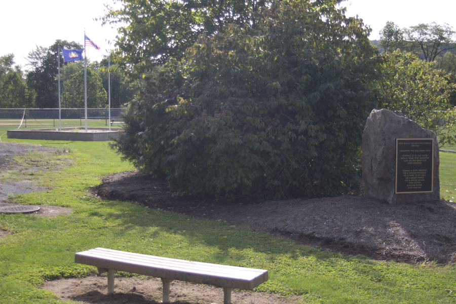bench and garden area