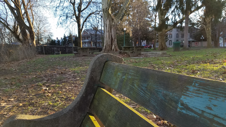 bench and green space