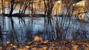 river beneath bridge
