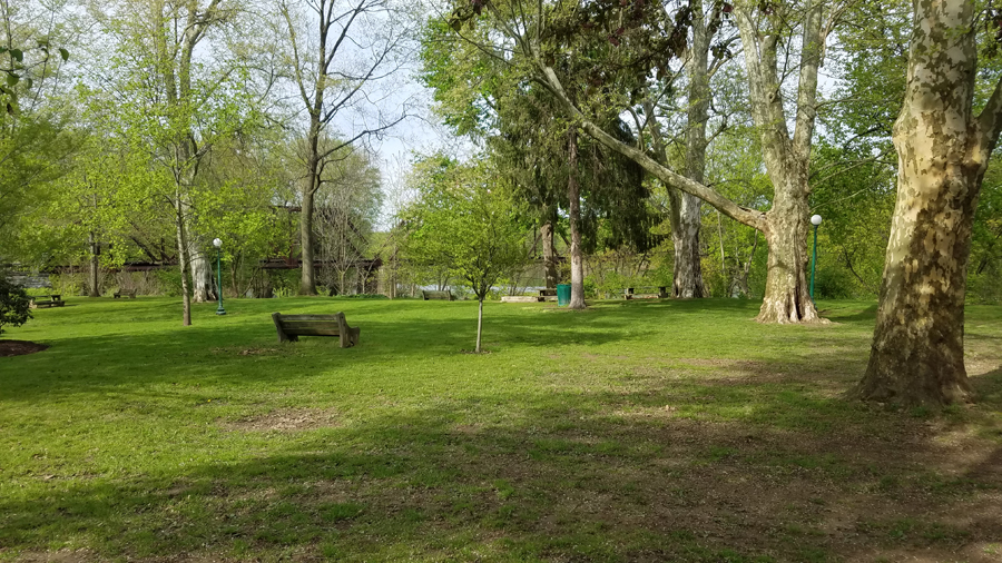 wide angle view of park