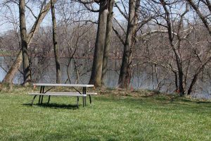 picnic table beside river