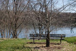 bench facing river