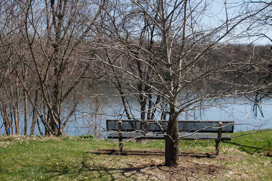 bench facing river