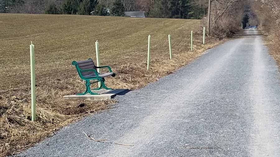 bench beside trail