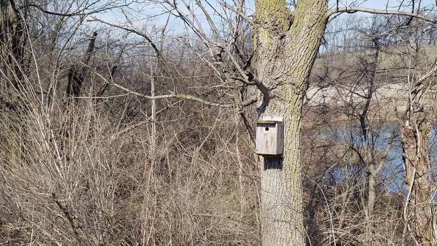 birdhouse on tree
