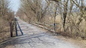 tree-lined rail trail