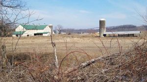 barn with a green roof