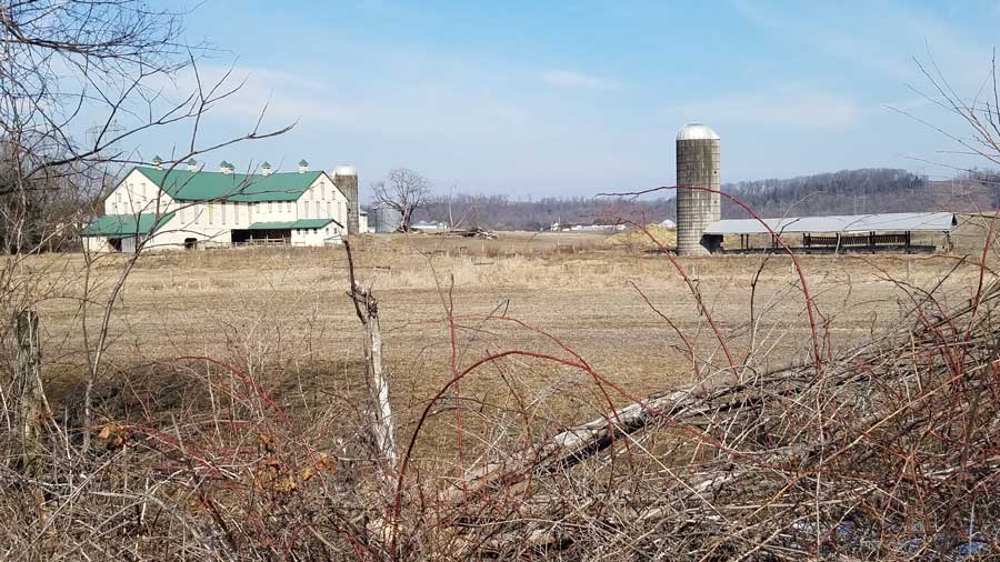 barn with a green roof