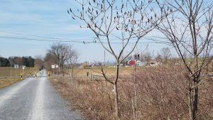 two farms beside the trail